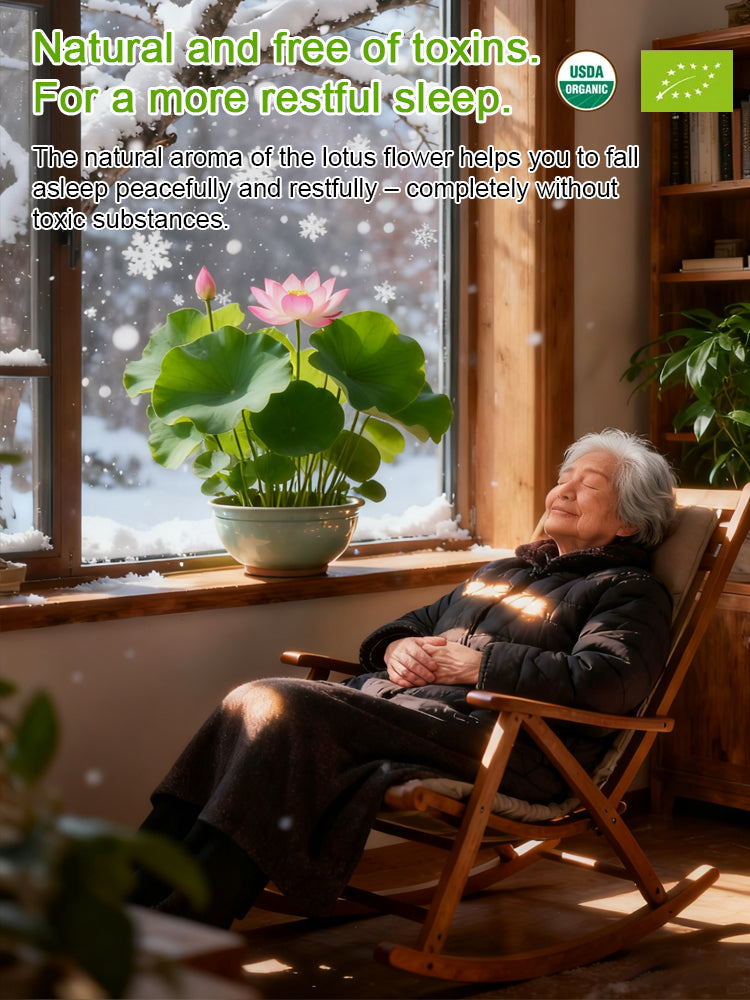 🔥【Beginner-friendly】 Hydroponic lotus seeds, Effortless Elegance: Water-Only Lotus Blooms!