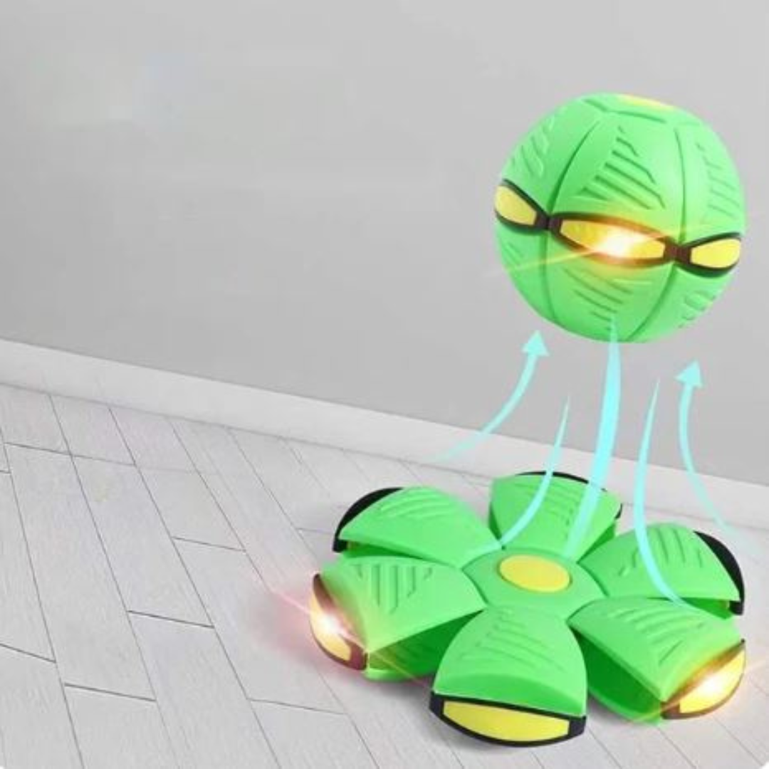 Dog Disc Ball Pet Toy